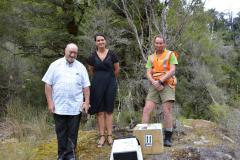 Whio release at Glennie Clearing in January 2019