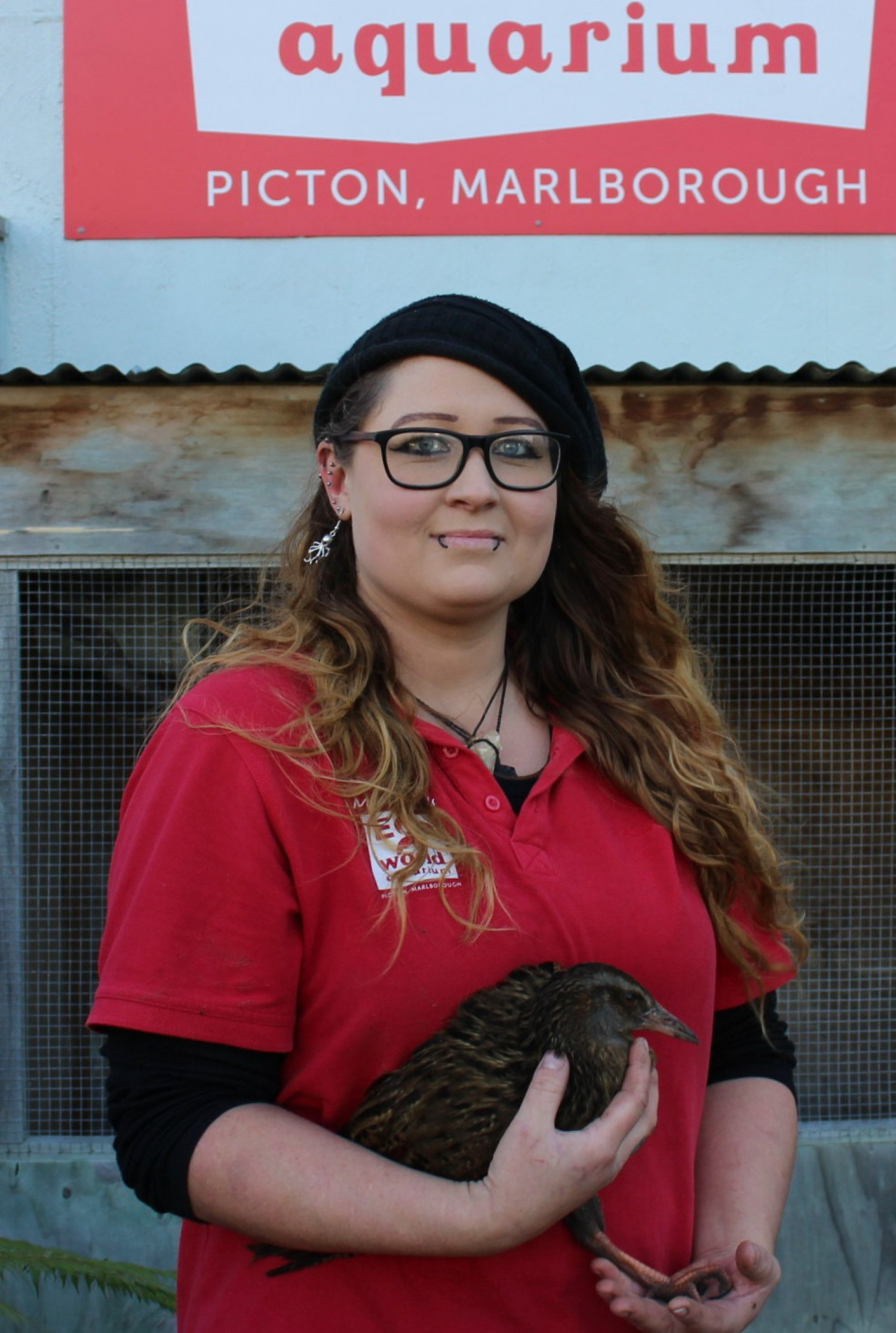 Lucky lost Weka rescued in Picton’s High Street