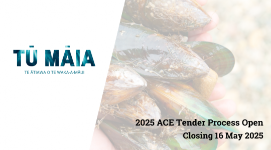 ACE Tender Process Open
