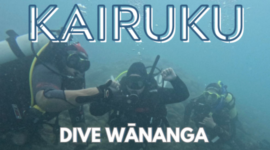 Kairuku - Dive Wānanga #1