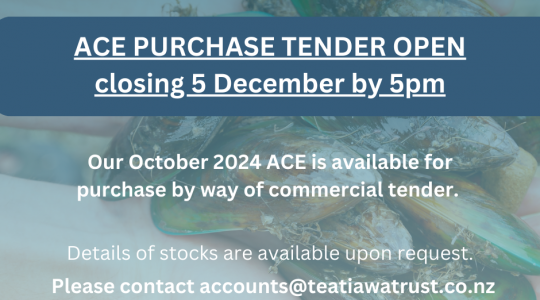 October 2024 ACE Tender Purchase