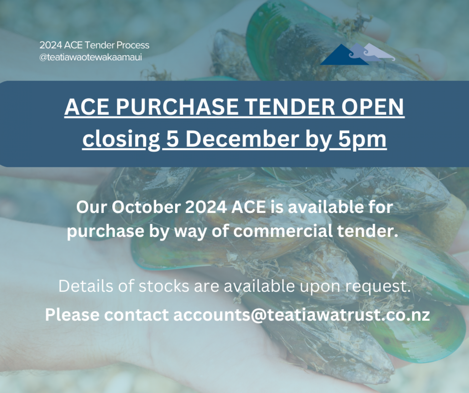 October 2024 ACE Tender Purchase