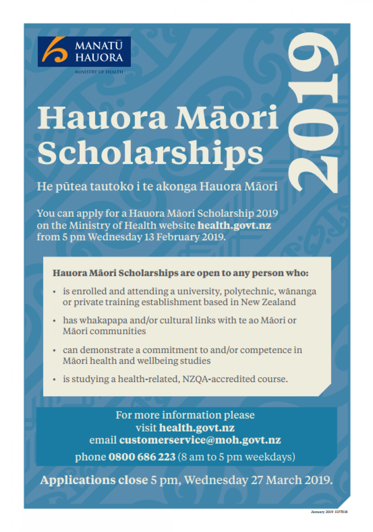 2019 Hauora Māori Scholarships