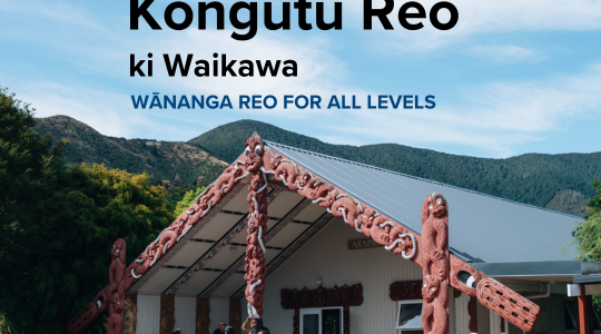 Kōngutu Reo ki Waikawa