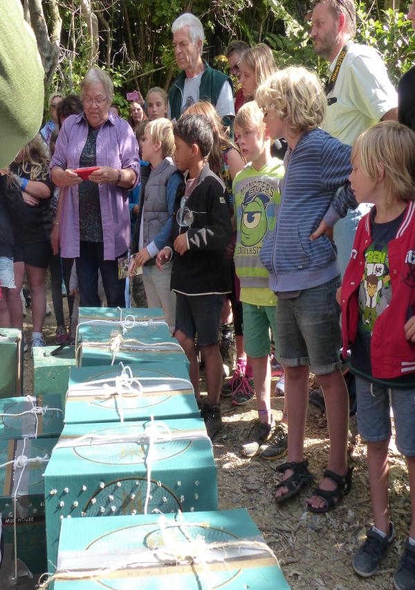 Gallery  - Witnessing the release of Sth Is Robin on Kaipupu Point, 1 March 2016 