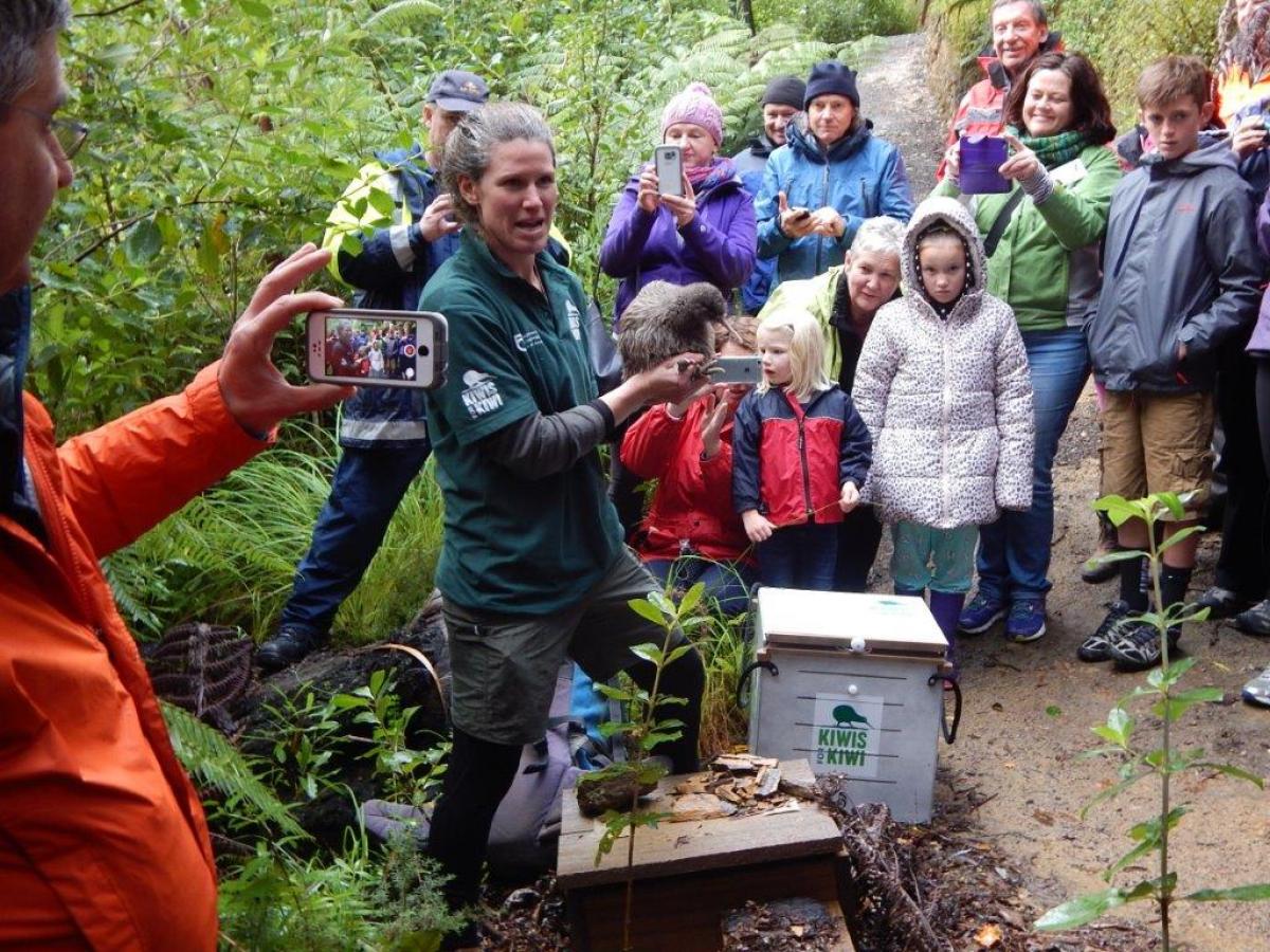 Kaitiaki o Te Taiao - Photo's  - Release of Rowi Kiwi to Kaipupu Point_28 May 2016 