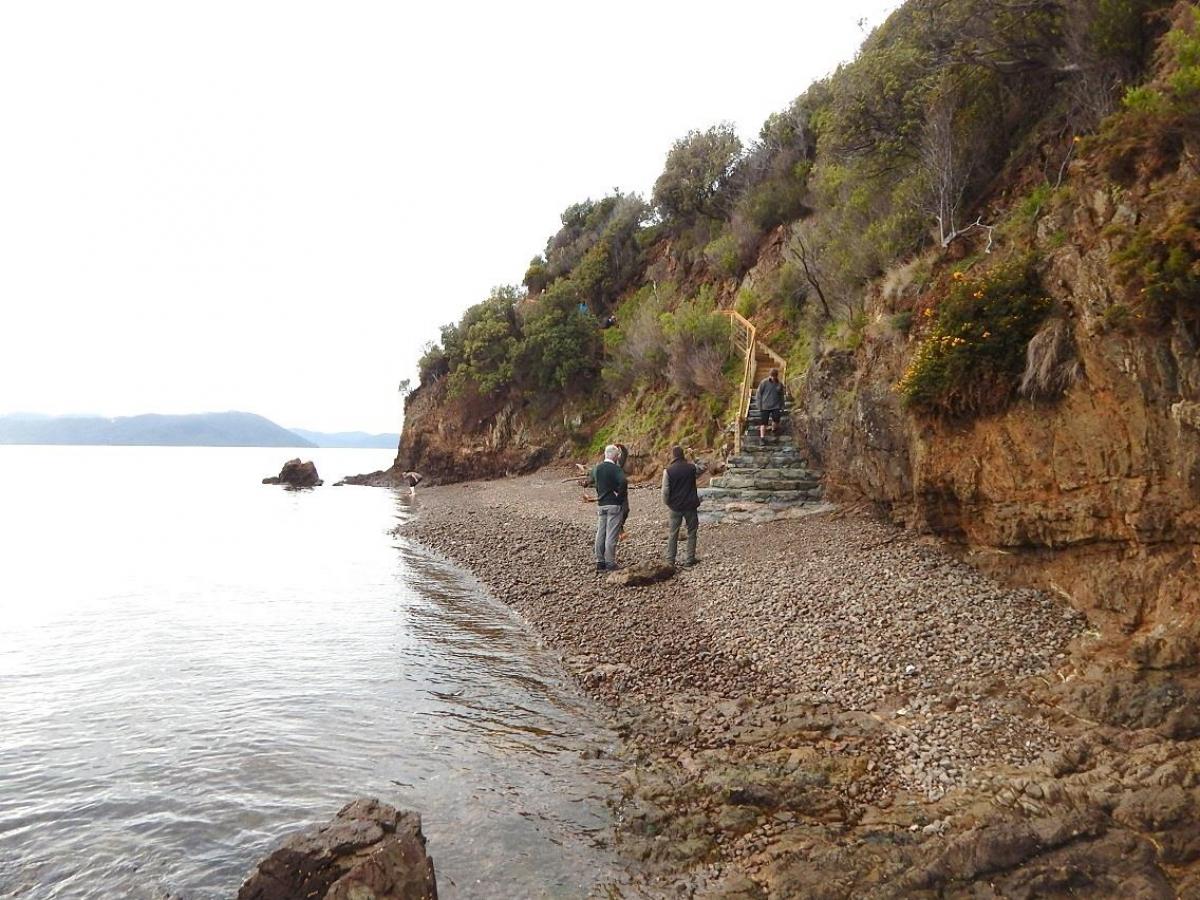 Kaitiaki o Te Taiao - Photo's  - Karaka Point Stairs Upgrade to the Bay 