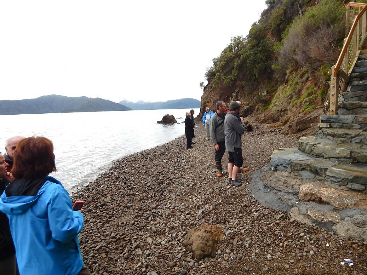 Kaitiaki o Te Taiao - Photo's  - Karaka Point Stairs Upgrade to the Bay 