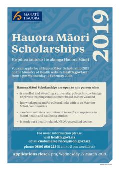 2019 Hauora Māori Scholarships
