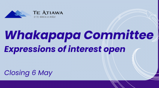 Whakapapa Committee Member EOI